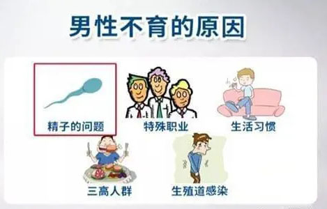 男性不孕不育的原因